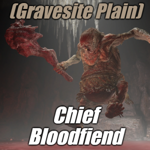 Zzzzz 1745398429gravesitechief Bloodfiend — Elden Ring ALL 207 Bosses (including dlc) option 166