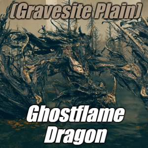 Zzzzz 1745398429gravesiteghostflame Dragon — Elden Ring ALL 207 Bosses (including dlc) option 169