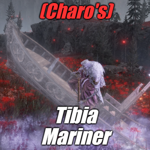 Zzzzz 1745398547charotibia Mariner — Elden Ring ALL 207 Bosses (including dlc) option 196