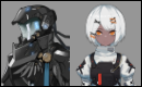 PGR|Punishing Gray Raven ships&duos — option 255