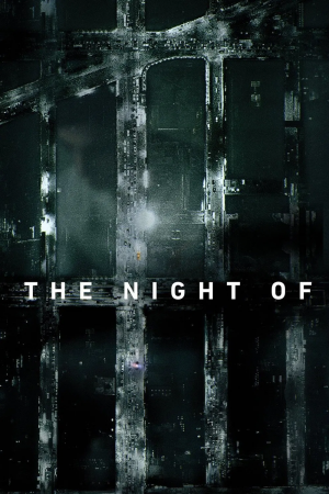 Zzzzz 1750615042the Night Of — TV Shows (150+) option 141
