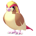 018 1 Pigeot — Pokemon Champions Regulation M-C option 10
