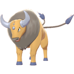 128 Tauros 1 Kantonian — Pokemon Champions Regulation M-C option 48