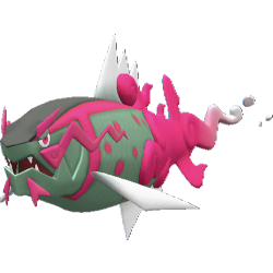 902 Basculegion 1 — Pokemon Champions Regulation M-C option 301