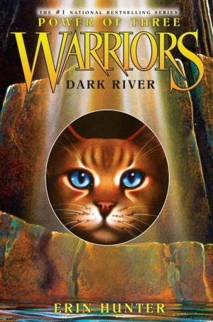 Zzzzz 17557905832 Dark River — All Warrior Cats Books (JAN 2026) option 14