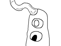 200px Twtvpe — Yume 2kki Minor Characters option 234