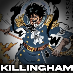 Inshot20251202132038938 — One piece option 15