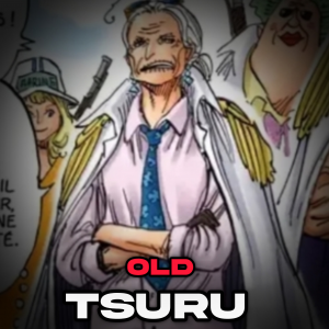 Inshot20251202133826265 — One piece option 38