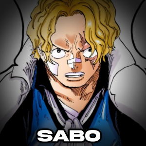 Zzzzz 1764704793inshot20251202192544706 — One piece option 62