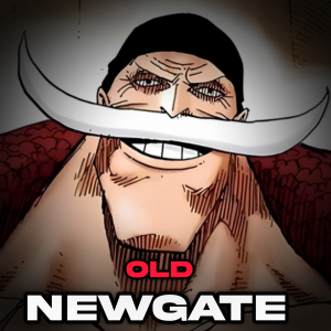 Zzzzz 1764705243inshot20251202170750991 — One piece option 102