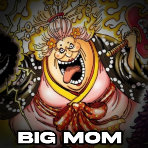 Zzzzz 1764705250inshot20251202202329945 — One piece option 133