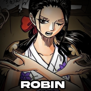 Zzzzz 1764705375inshot20251202201750197 — One piece option 181