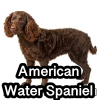 Untitled23720250629223941 — AKC Dog Breeds (Labeled) option 14