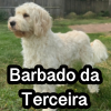 Untitled23720250629224705 — AKC Dog Breeds (Labeled) option 22