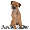 Untitled23720250629225009 — AKC Dog Breeds (Labeled) option 50