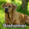 Untitled23920250629225312 — AKC Dog Breeds (Labeled) option 65