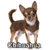 Untitled23920250629225430 — AKC Dog Breeds (Labeled) option 83