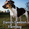 Untitled23920250629225539 — AKC Dog Breeds (Labeled) option 99