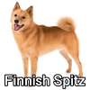 Untitled24020250629225728 — AKC Dog Breeds (Labeled) option 116
