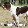 Untitled24020250629225738 — AKC Dog Breeds (Labeled) option 119