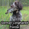 Untitled24020250629225822 — AKC Dog Breeds (Labeled) option 120