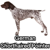 Untitled24020250629225920 — AKC Dog Breeds (Labeled) option 123