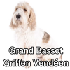 Untitled24020250629230017 — AKC Dog Breeds (Labeled) option 130