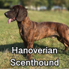 Untitled24020250629230041 — AKC Dog Breeds (Labeled) option 136