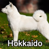 Untitled24020250629230053 — AKC Dog Breeds (Labeled) option 139