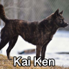 Untitled24120250629230304 — AKC Dog Breeds (Labeled) option 154