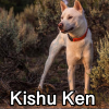 Untitled24120250629230319 — AKC Dog Breeds (Labeled) option 158