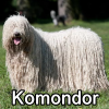 Untitled24120250629230323 — AKC Dog Breeds (Labeled) option 159