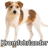 Untitled24120250629230332 — AKC Dog Breeds (Labeled) option 161