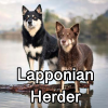 Untitled24120250629230355 — AKC Dog Breeds (Labeled) option 167