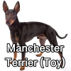 Untitled24120250629230427 — AKC Dog Breeds (Labeled) option 174