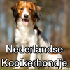 Untitled24120250629230502 — AKC Dog Breeds (Labeled) option 183