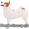 Untitled24120250629230521 — AKC Dog Breeds (Labeled) option 186