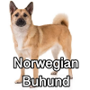 Untitled24120250629230524 — AKC Dog Breeds (Labeled) option 187