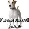 Untitled24120250629230552 — AKC Dog Breeds (Labeled) option 194