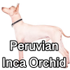 Untitled24120250629230606 — AKC Dog Breeds (Labeled) option 198
