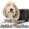 Untitled24120250629230609 — AKC Dog Breeds (Labeled) option 199