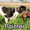Untitled24220250629230655 — AKC Dog Breeds (Labeled) option 202