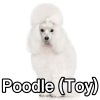 Untitled24220250629230721 — AKC Dog Breeds (Labeled) option 208