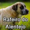 Untitled24220250629230813 — AKC Dog Breeds (Labeled) option 222