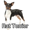 Untitled24220250629230816 — AKC Dog Breeds (Labeled) option 223