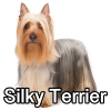 Untitled24220250629230944 — AKC Dog Breeds (Labeled) option 246