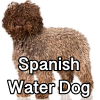 Untitled24320250629231057 — AKC Dog Breeds (Labeled) option 256