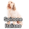 Untitled24320250629231101 — AKC Dog Breeds (Labeled) option 257
