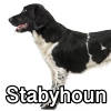 Untitled24320250629231105 — AKC Dog Breeds (Labeled) option 258
