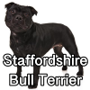 Untitled24320250629231109 — AKC Dog Breeds (Labeled) option 259